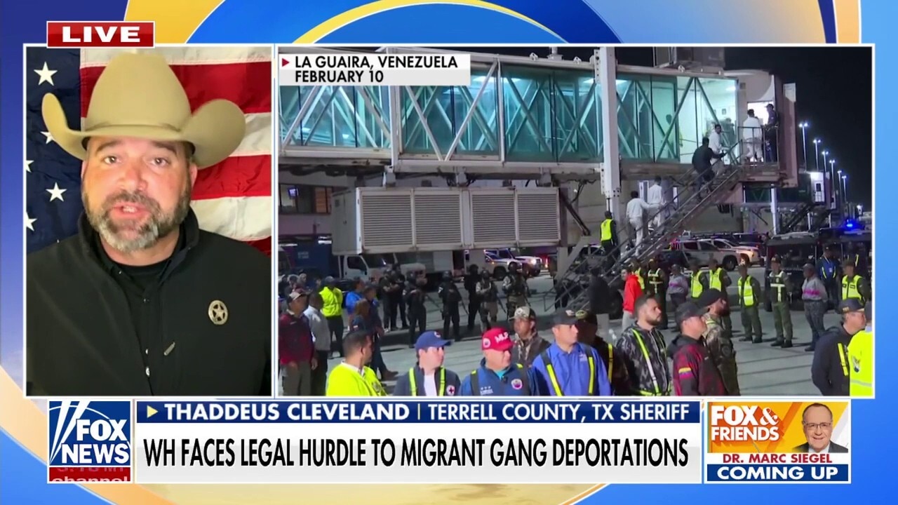 Tom Homan highlights concerns with migrant databases as Trump admin continues deportation flights