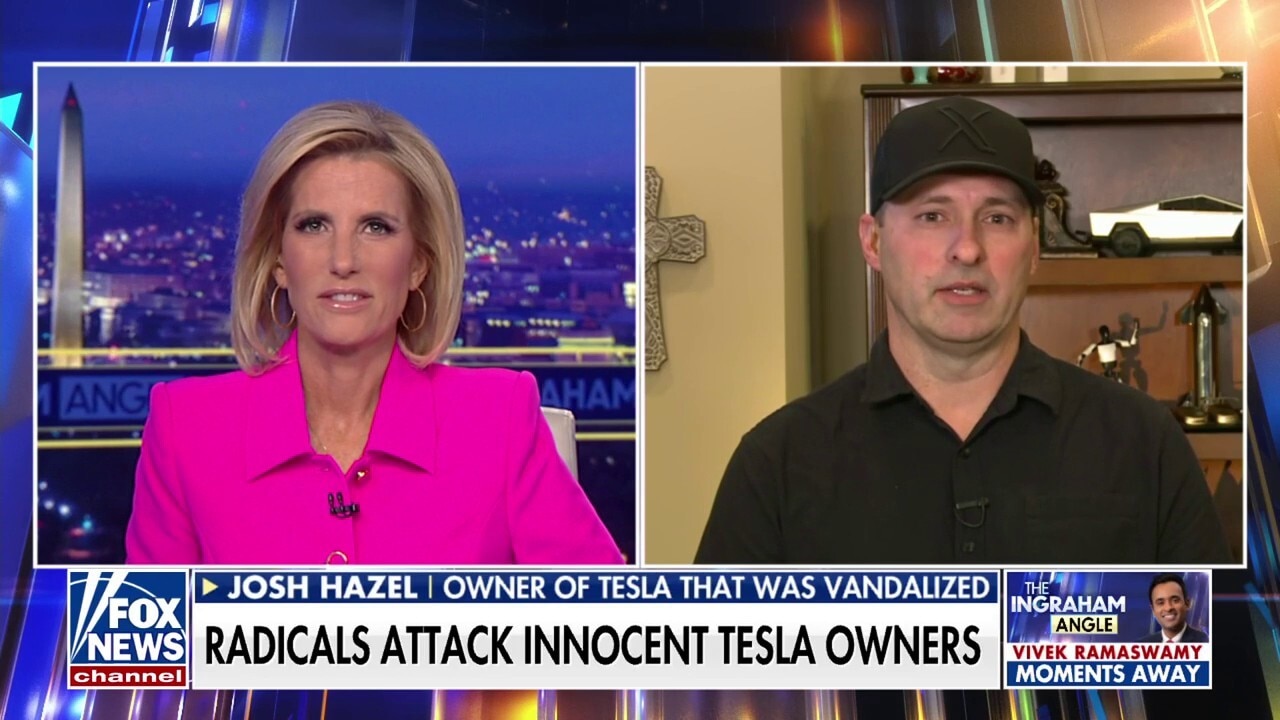 Tesla owner relives Mardi Gras attack