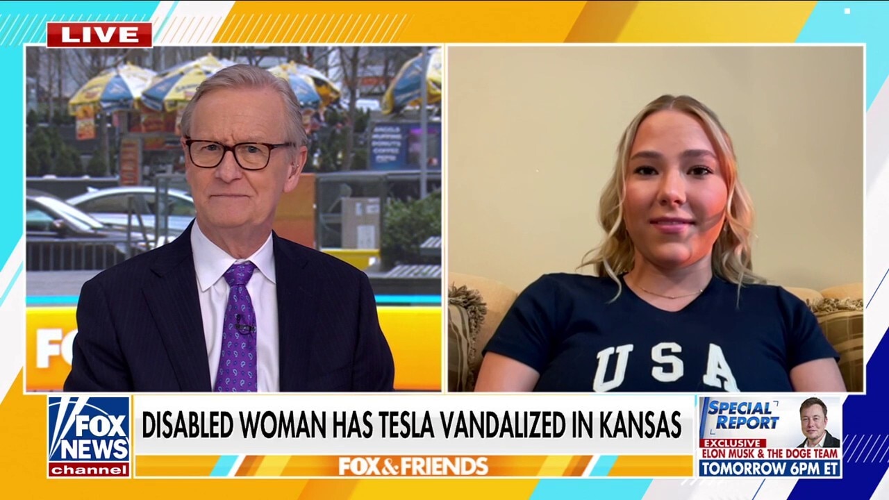 Wheelchair-bound woman is latest victim of Tesla vandalism