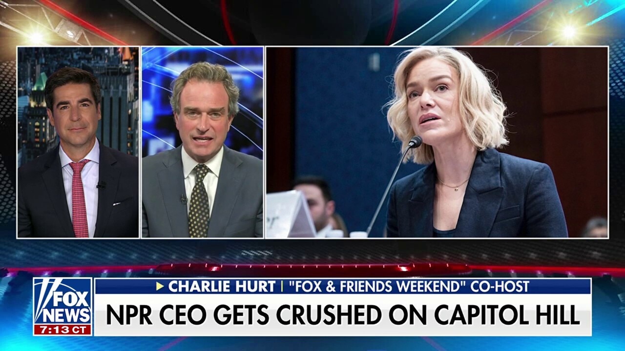 NPR and PBS chiefs are 'squealing' at threat of pulled government funding, Charlie Hurt says