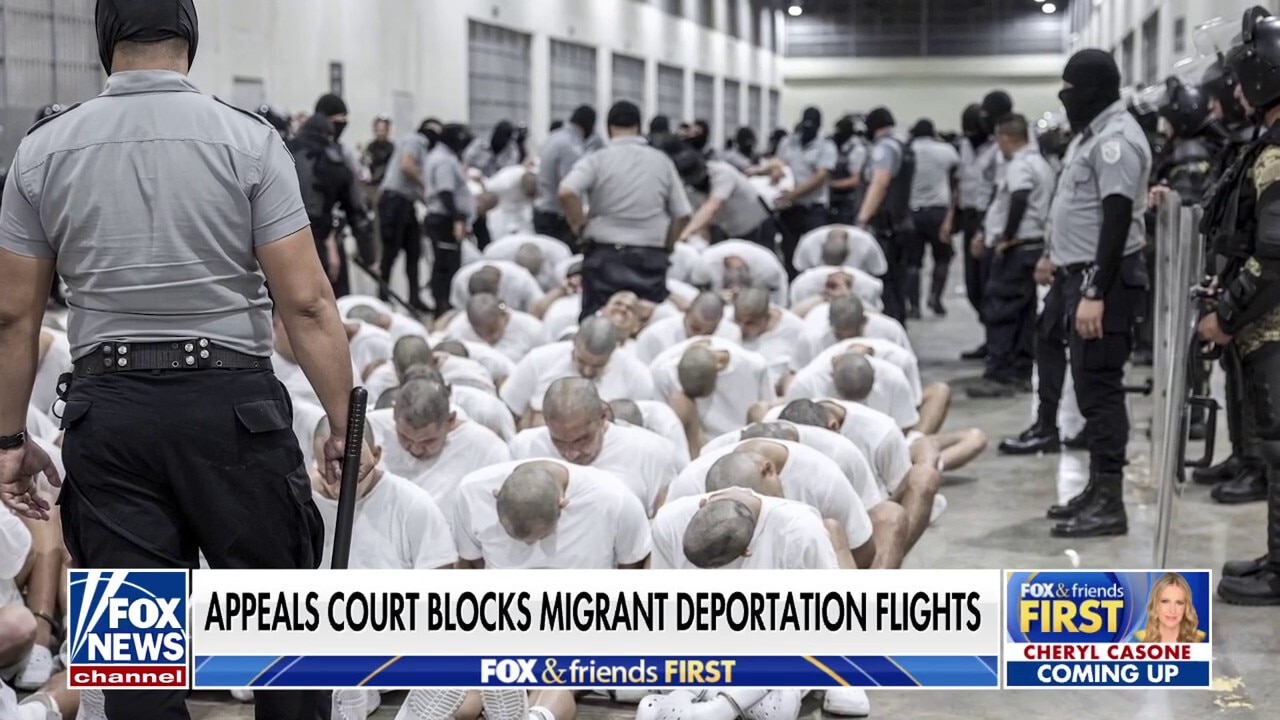 Trump will 'prevail' in deportation flight battle, former acting ICE director says