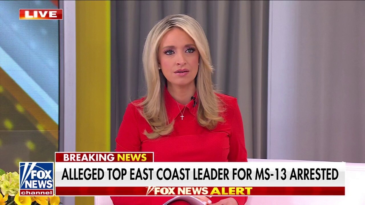 Kayleigh McEnany reacts to arrest of MS-13 leader: 'This is a win for America'
