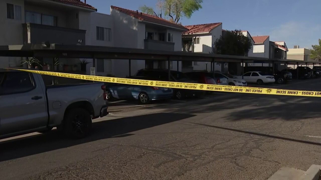 Babysitter arrested in stabbing death of 3-year-old girl in Las Vegas: police