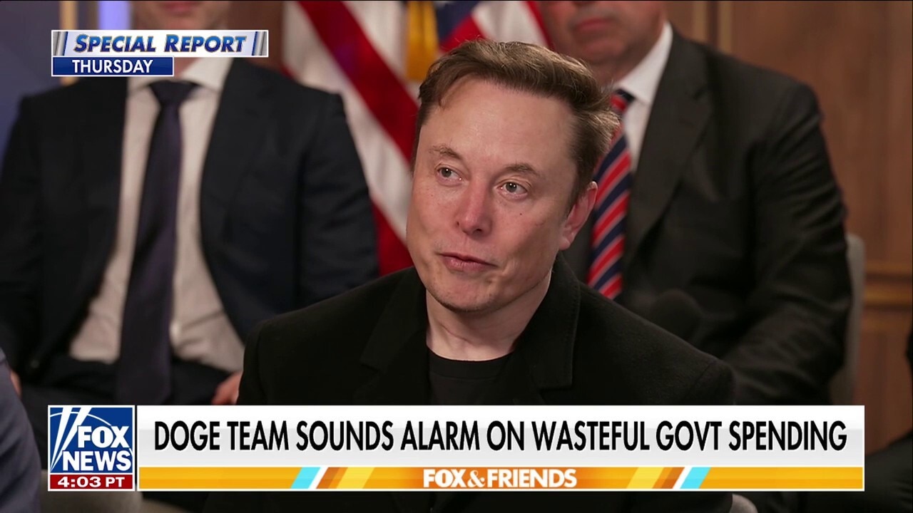 Elon Musk calls out Democrat's $2 billion in NGO funds uncovered by DOGE