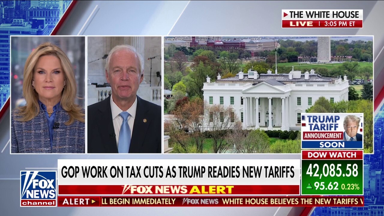 Sen. Ron Johnson says Trump is focusing on ‘fair trade’ amid new tariffs