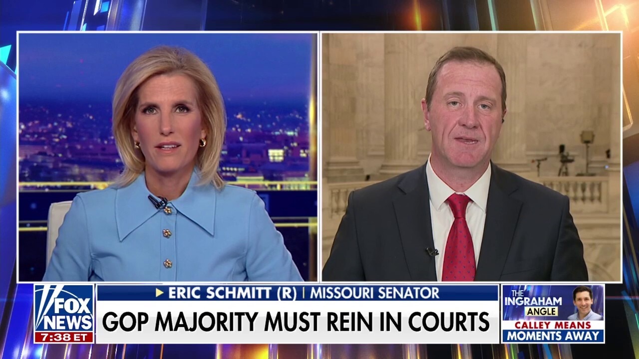 Judges trying to ice Trump’s agenda is an ‘unprecedented assault on the rule of law,’ says GOP lawmaker