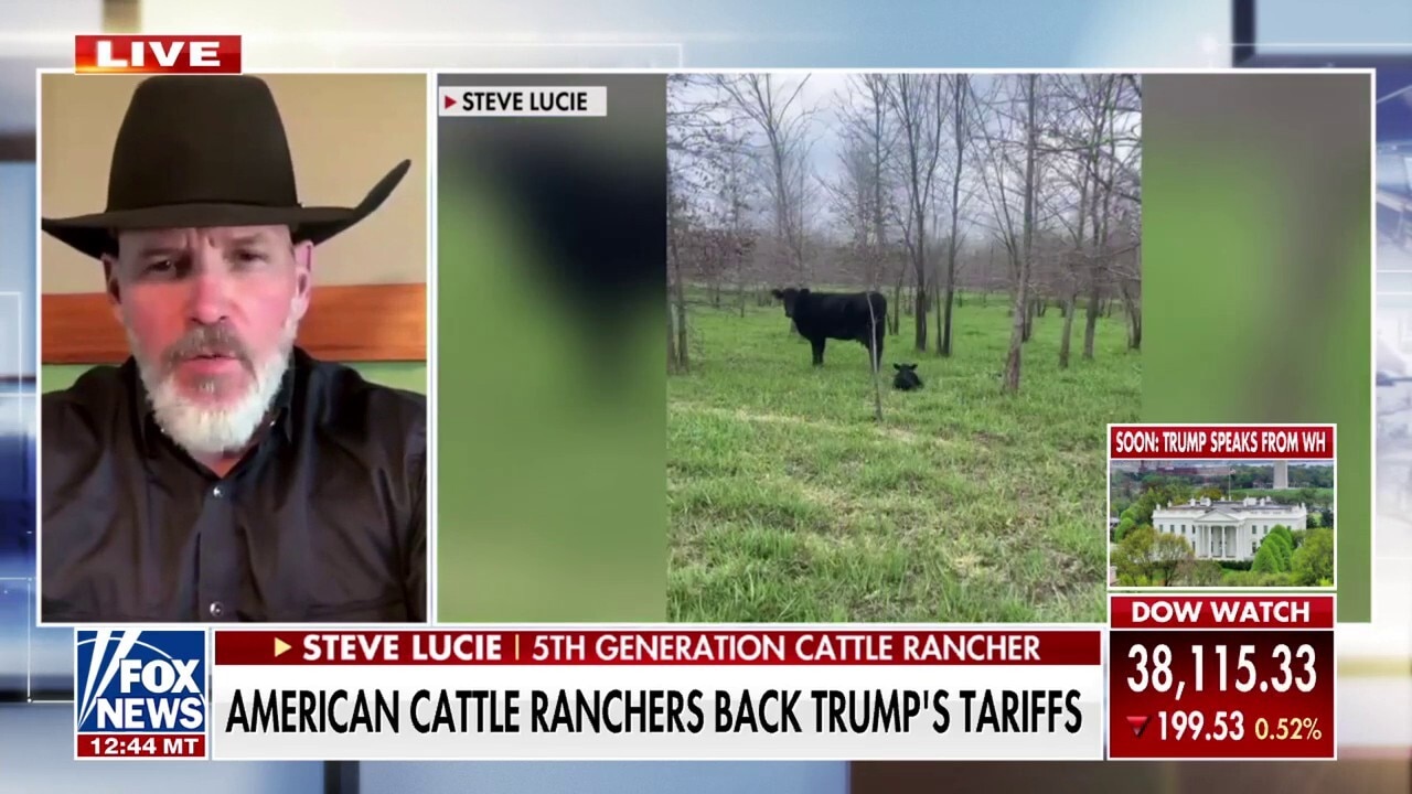 Cattle rancher urges investors to 'remain calm' during Trump tariffs uncertainty