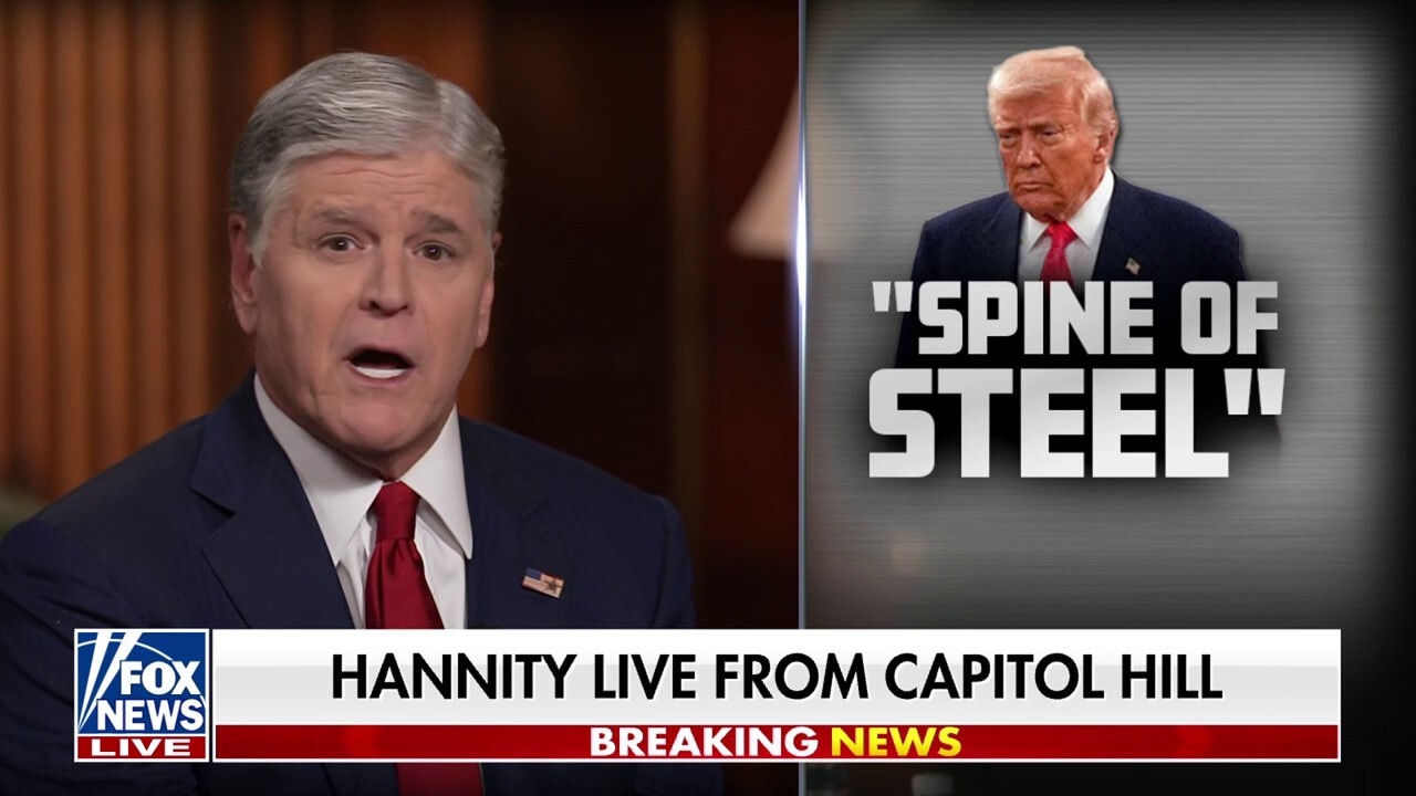 Sean Hannity: This is what happens when you have a president who's willing to fight 