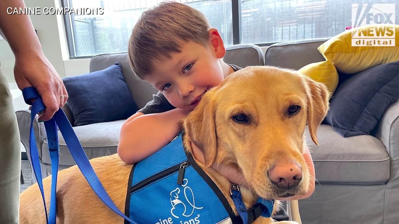 Mom says service dog has made 'huge difference' for son with autism