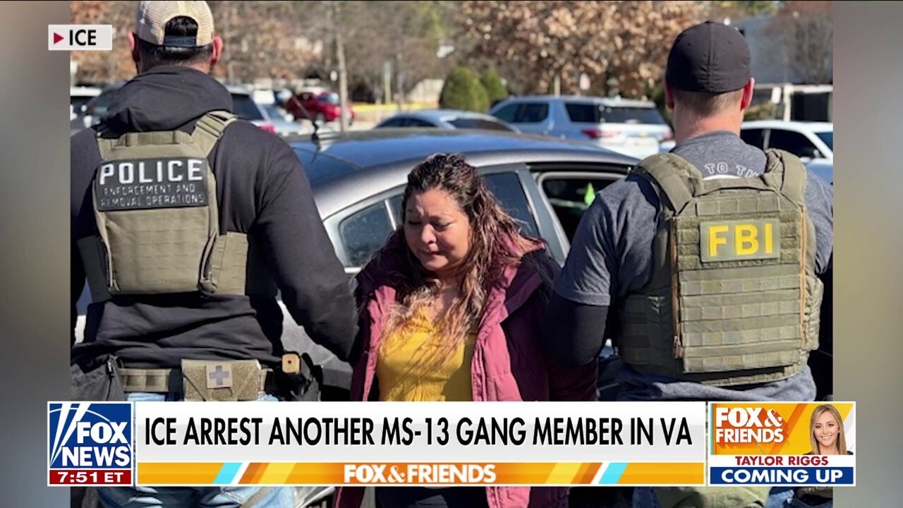 ICE nabs more than 425 migrant criminals in Virginia, Gov. Youngkin says