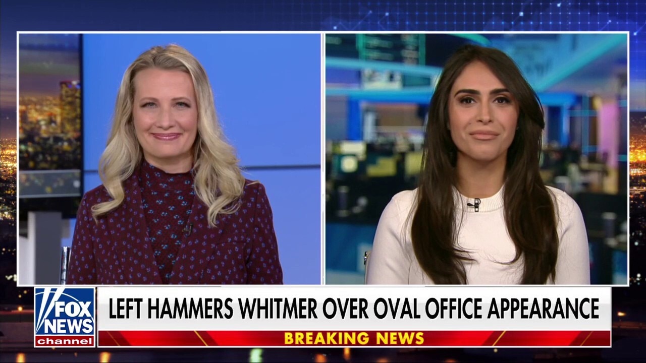 Democrats should be ‘leaning into’ Whitmer’s Oval Office appearance, Elisha Krauss says