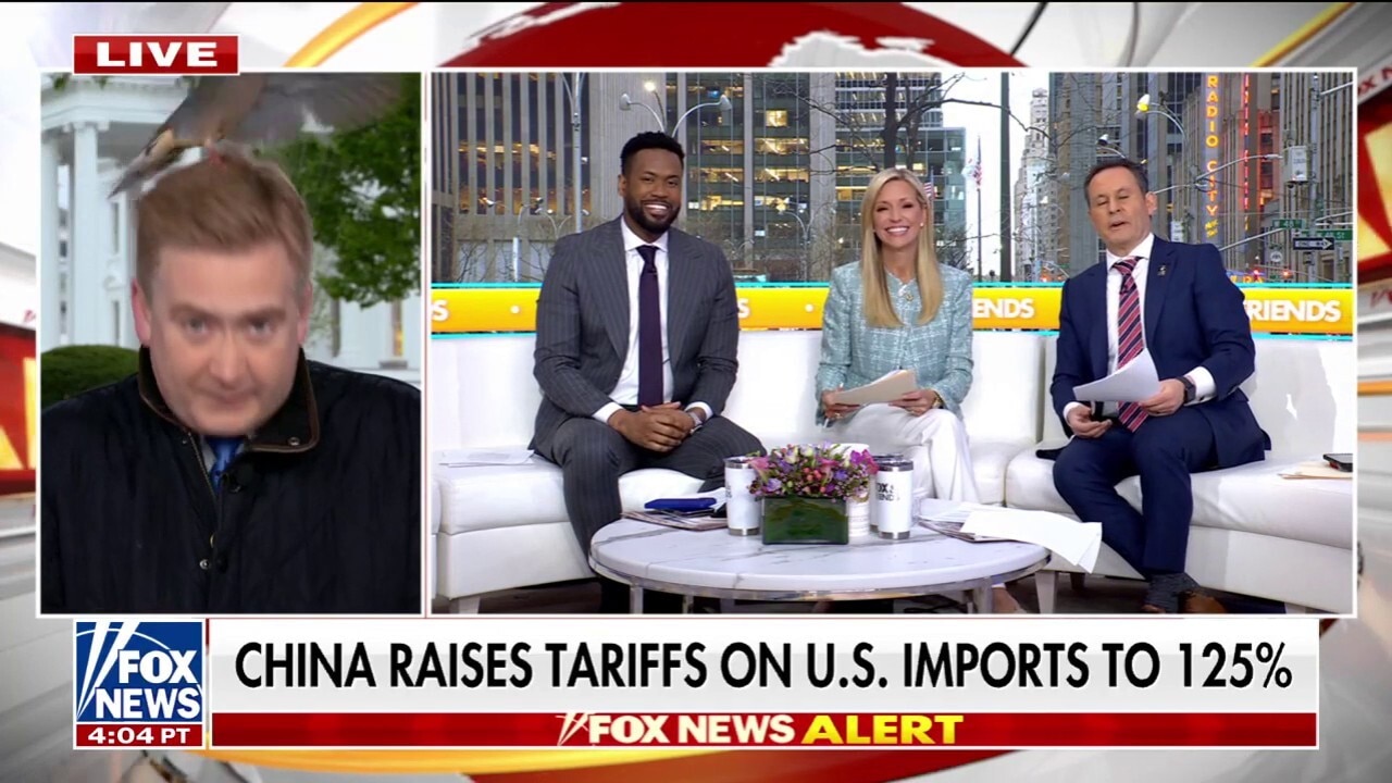 Bird crashes Peter Doocy's report on White House lawn