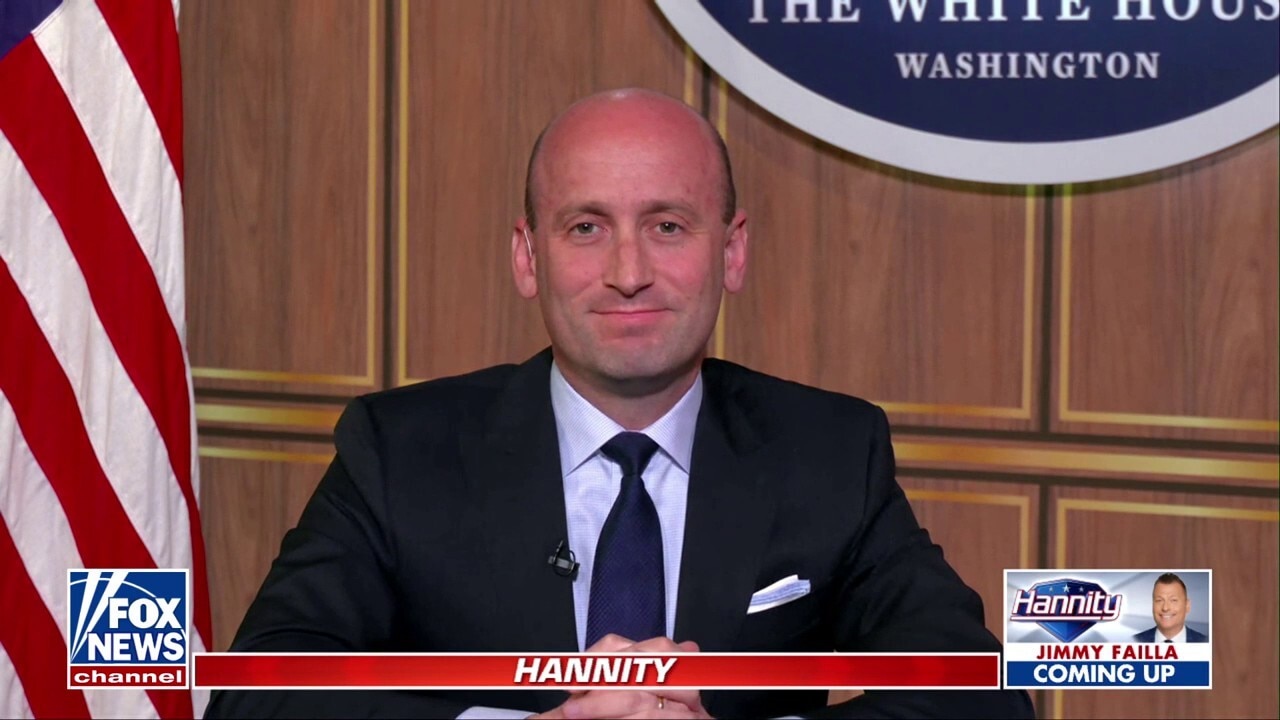 Dems are against voter ID laws because they want 'large numbers' of illegal aliens to vote: Stephen Miller