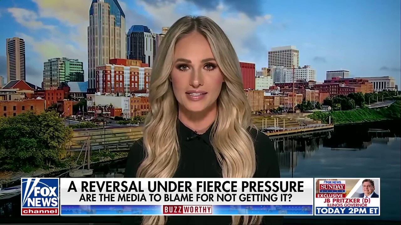 Tomi Lahren praises Trump's Chinese tariff 'squeeze': How else do you put China in its place?