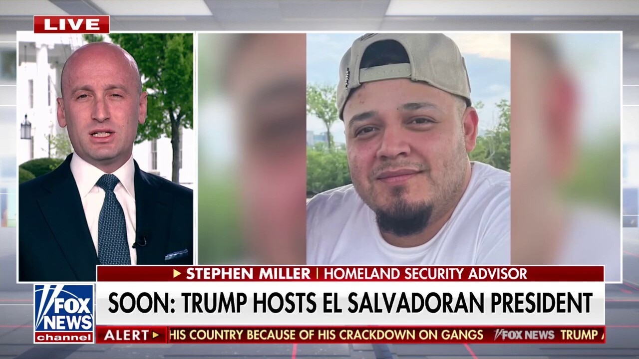 Stephen Miller doubles down on deportation of alleged gang member: 'Not mistakenly sent'