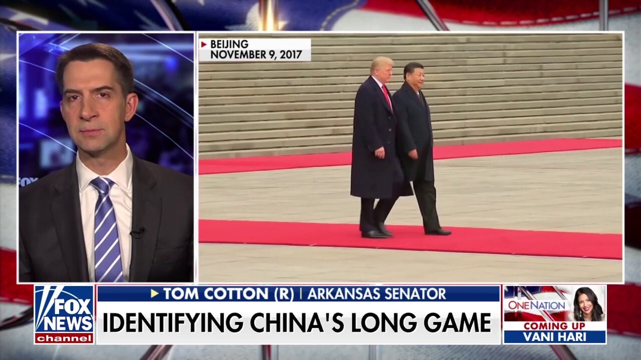 China has been 'waging' a trade war with the US for decades: Sen. Tom Cotton