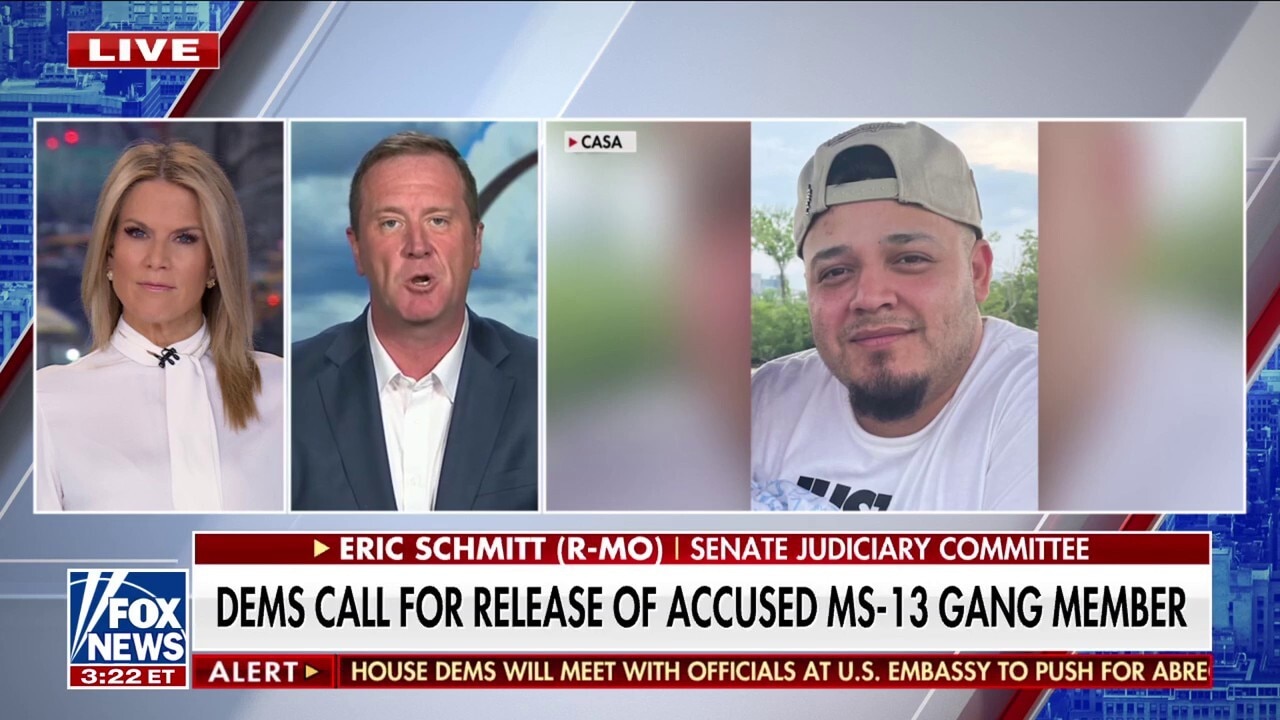 Democrats are moving to 'political oblivion' with their call to release accused MS-13 gang member, declares GOP senator