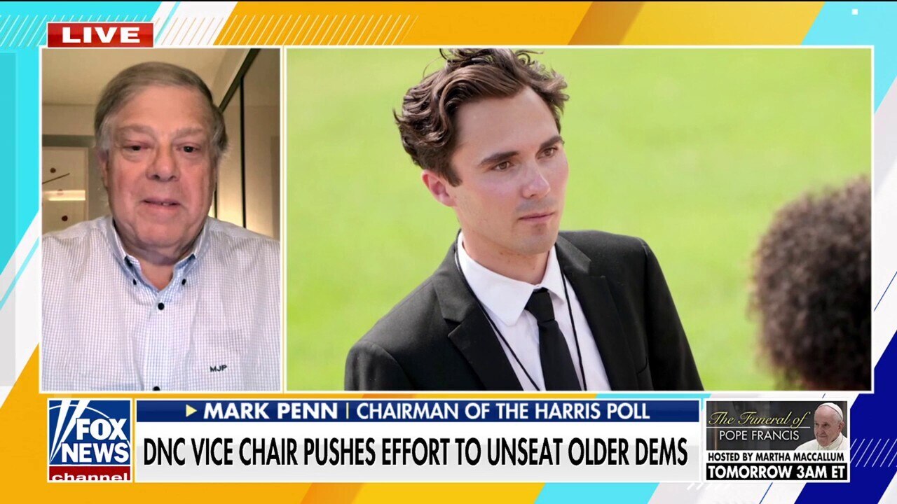 DNC vice chair is 'actively undermining' other Democrats, says Mark Penn