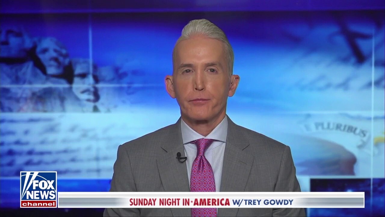 Democrats are in the wilderness, says Trey Gowdy