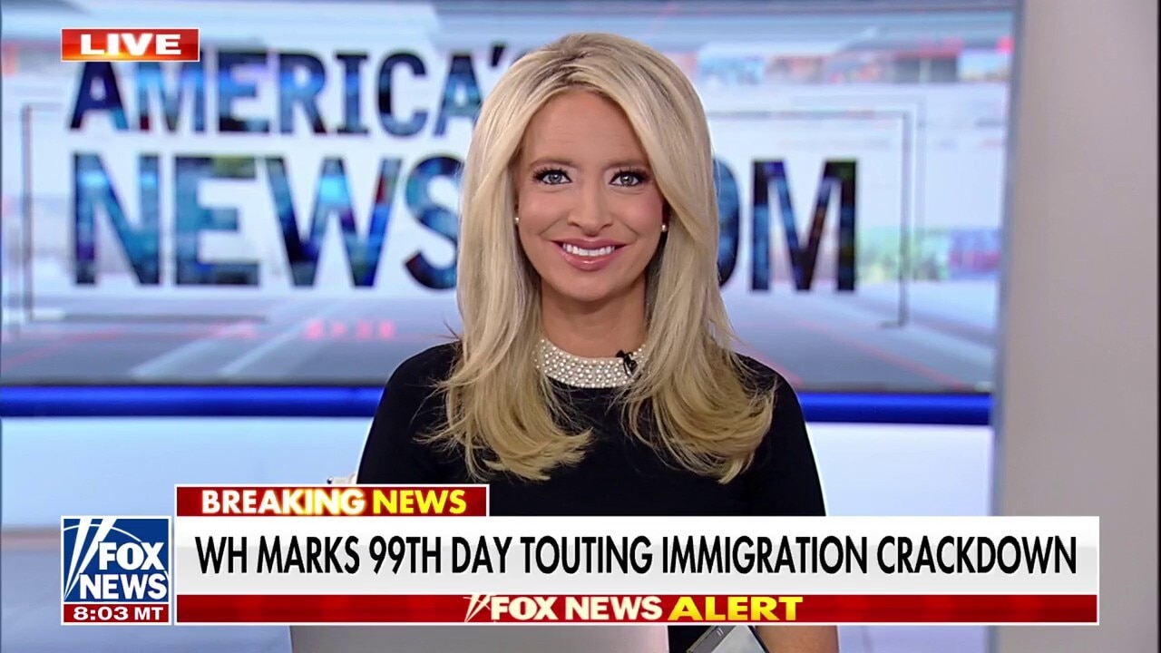 Immigration is the Trump administration's top issue and they know it, says Kayleigh McEnany