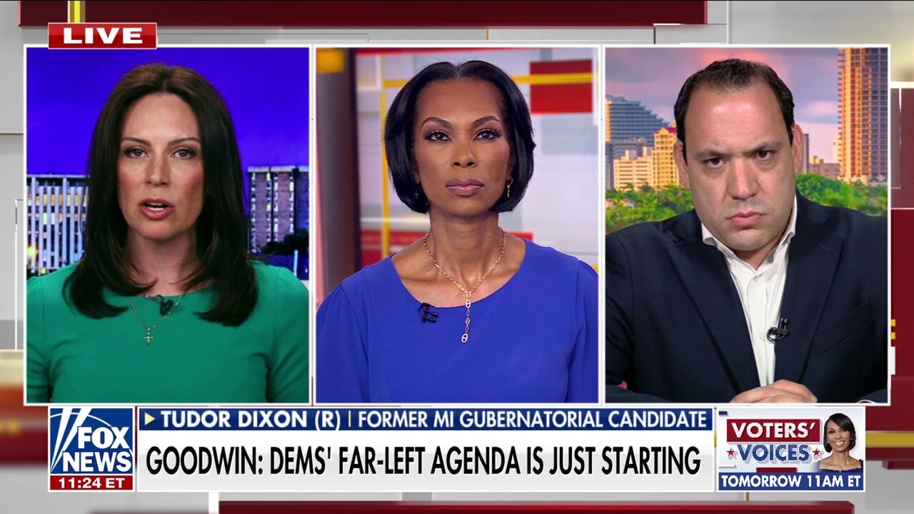 'That is not reality': Former Michigan gubernatorial candidate rips Dems going further left