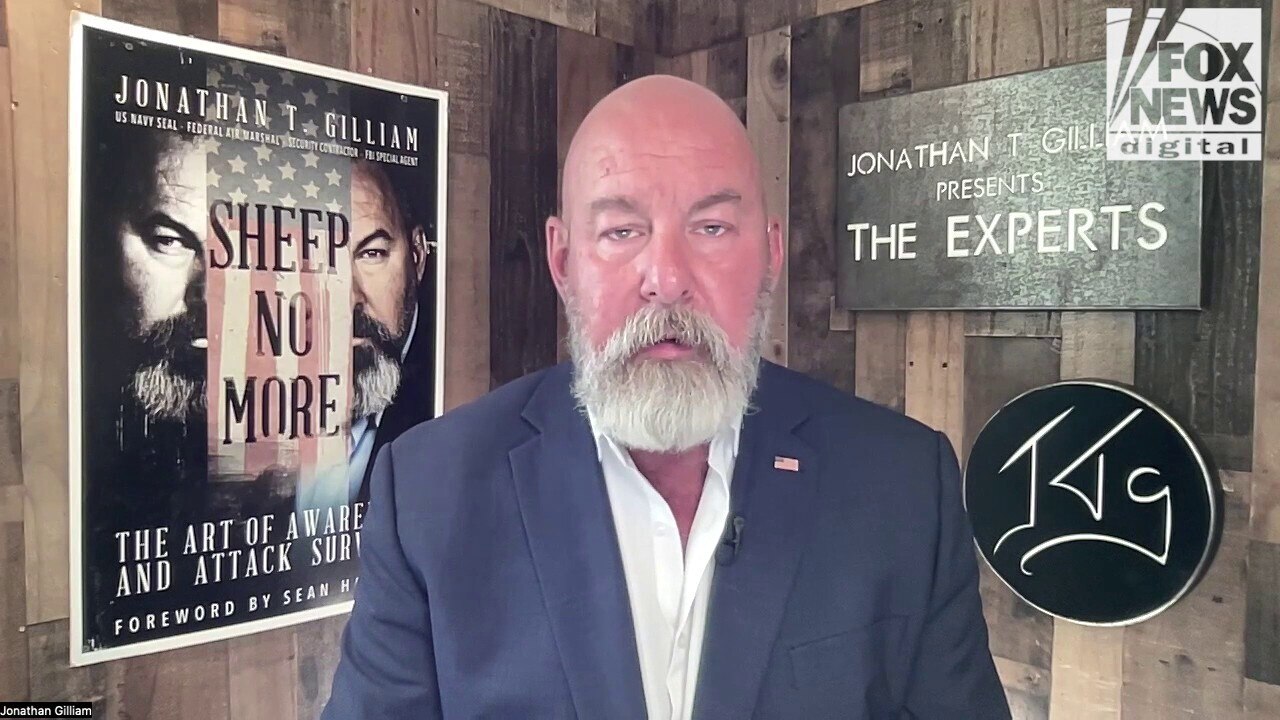 Former FBI agent says 'crime will go down' as Trump administration continues arresting illegal immigrants and gang members