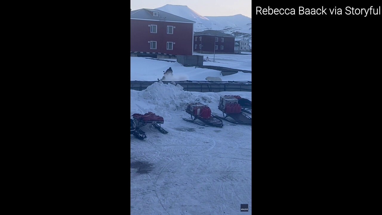 Man drops gun, flees charging polar bear in Norway