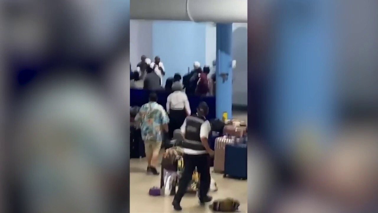 Cruise line bans 24 people after massive brawl breaks out
