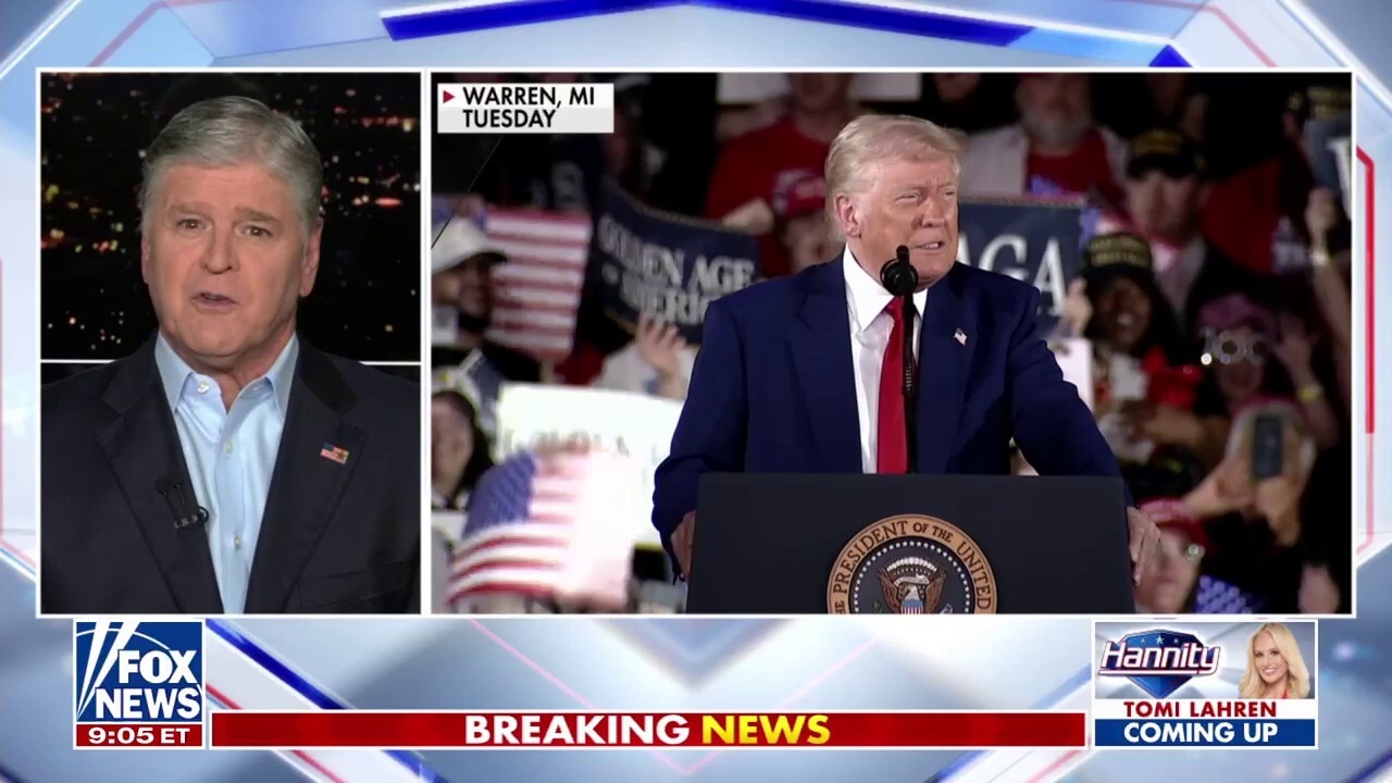 The Democratic Party has become a 'clown show,' says Sean Hannity