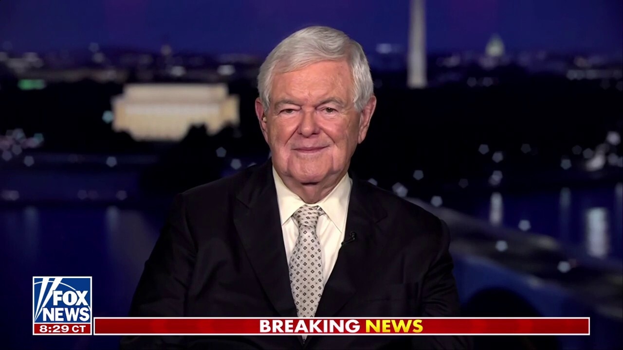 Newt Gingrich calls attention to ‘last three great centers of resistance’ to Trump