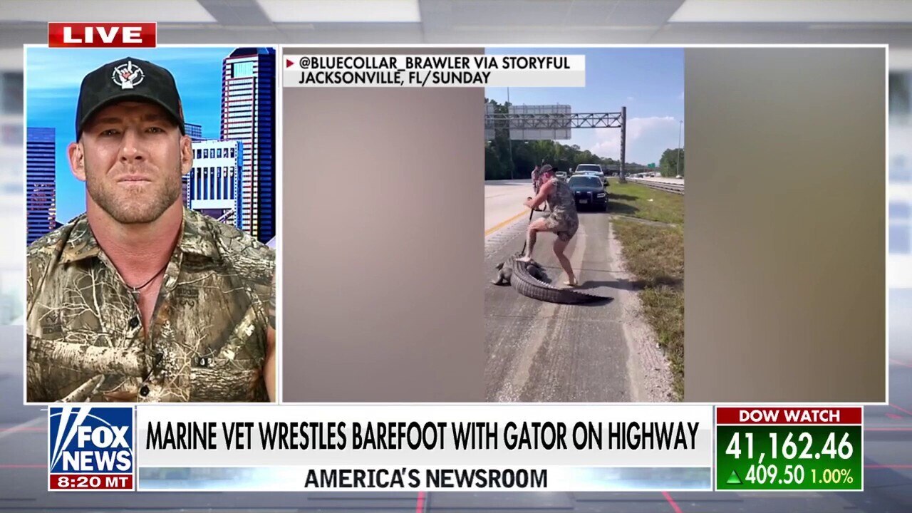 Marine veteran wrestles alligator on Florida highway while barefoot