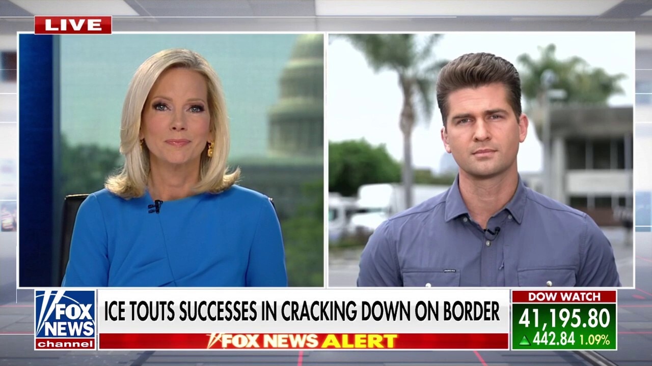 Acting ICE director calls out sanctuary cities: ‘We’re gonna ramp it up’