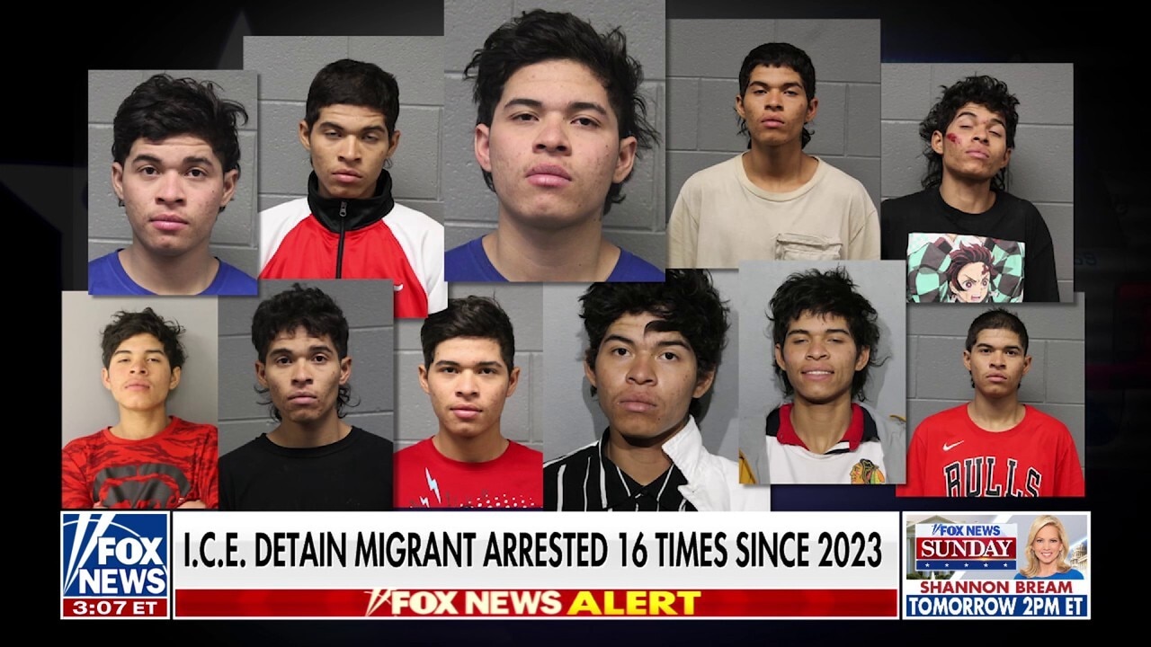 Immigration authorities arrest migrant in Chicago with lengthy rap sheet
