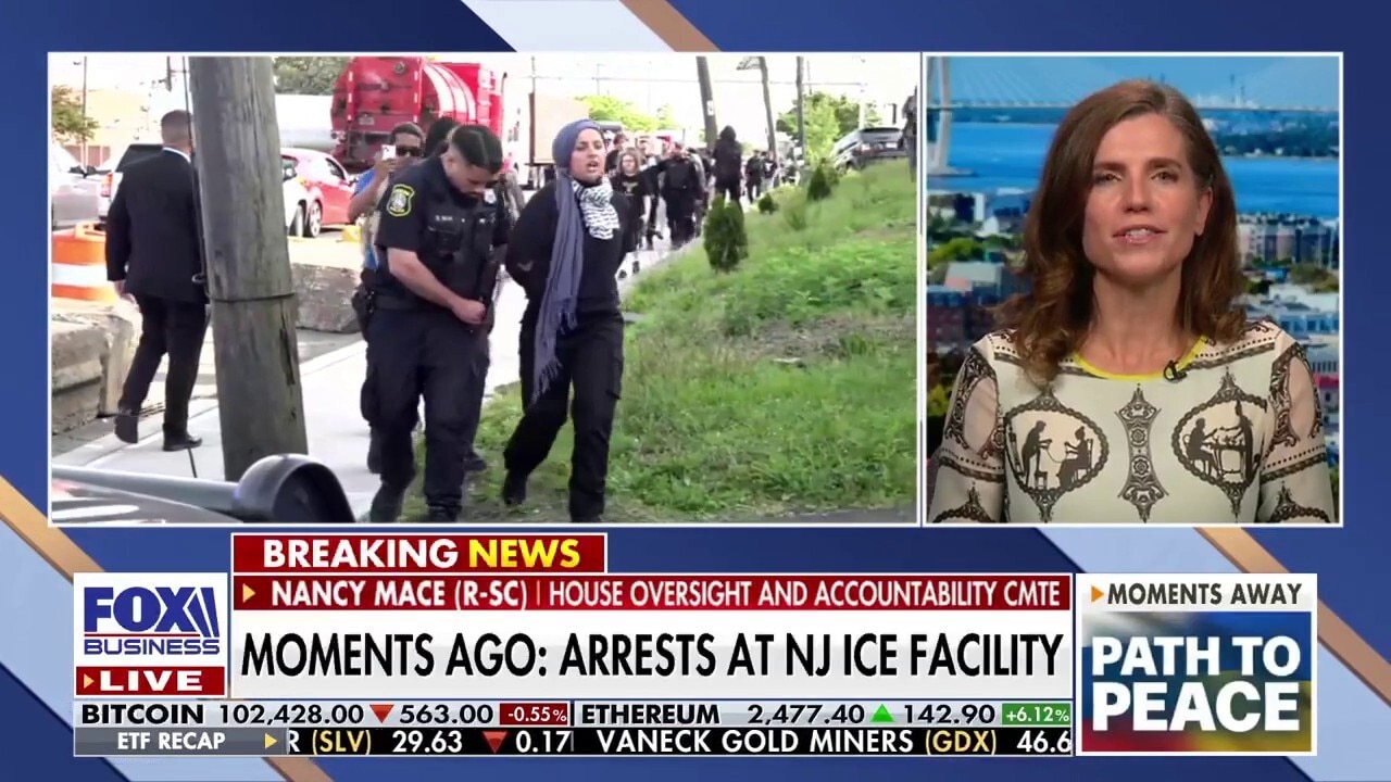 Trump admin should pursue charges against Dems who 'assaulted' ICE officials, says congresswoman