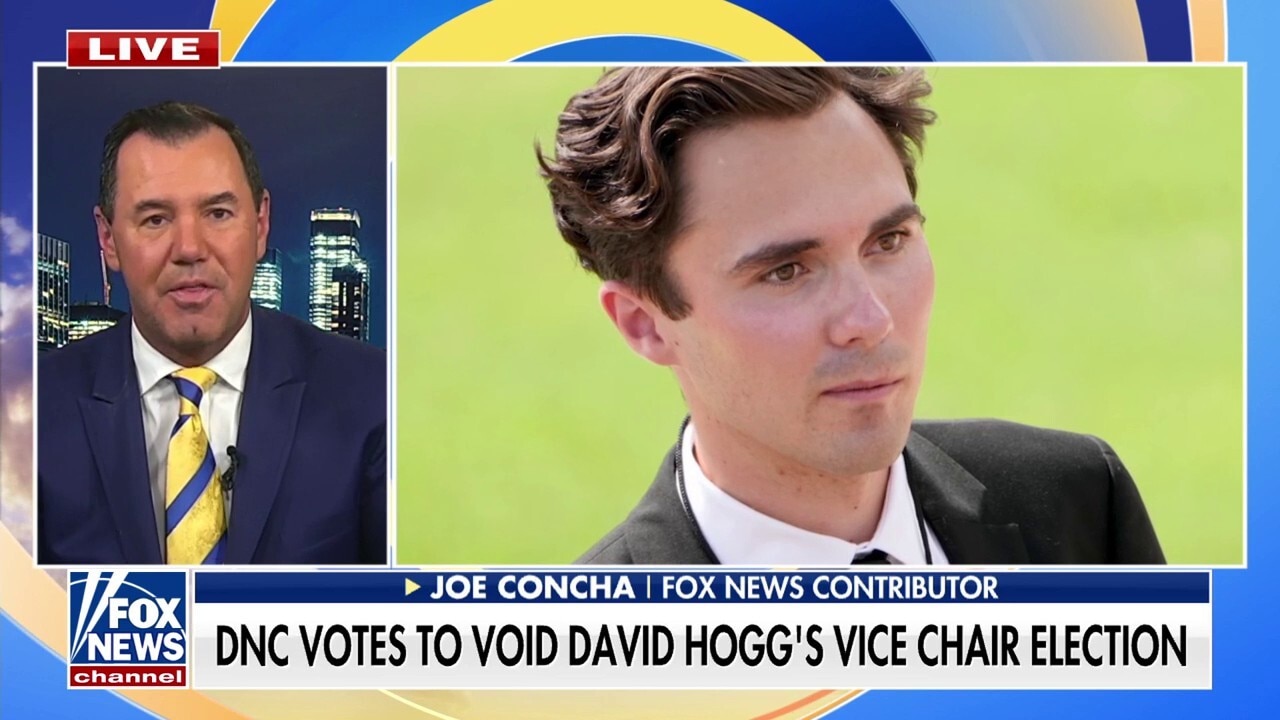 David Hogg fires back at DNC for moving to oust him: 'Impossible to ignore'