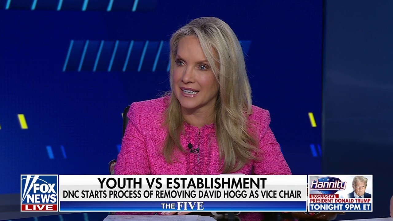 DNC 'dance'? Dana Perino criticizes Dem Party's 'lack of discipline'