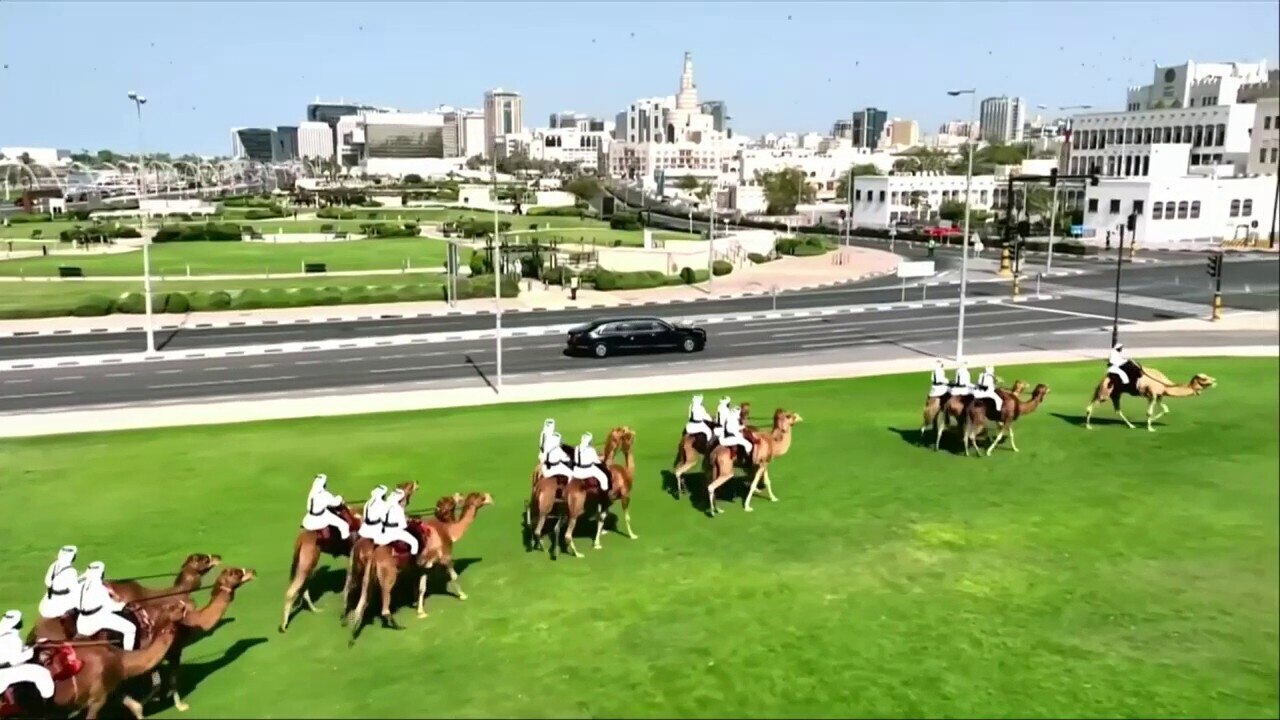 Dozens of camels welcome Trump's motorcade to Qatar. 