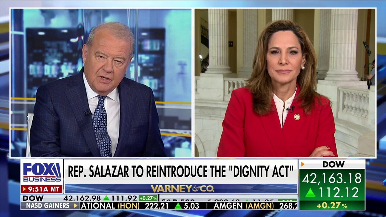 GOP lawmaker pledges to reintroduce ‘revolutionary’ legislation on illegal immigration