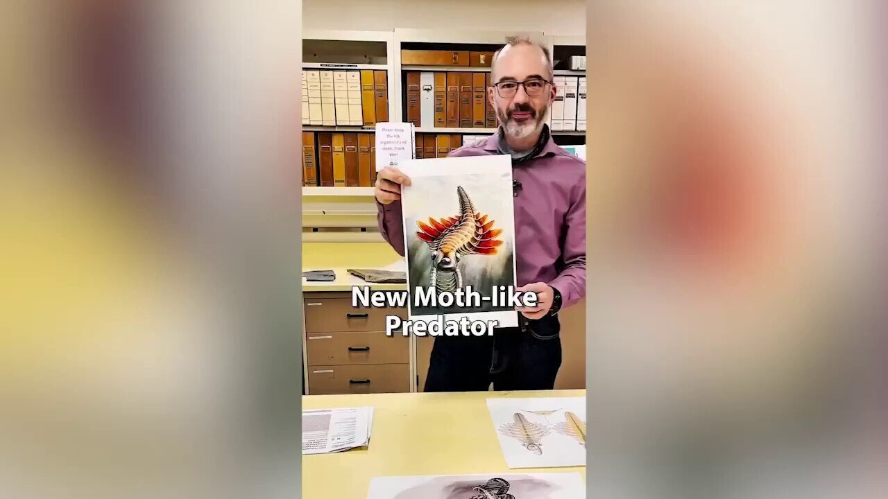 Canadian scientists identify ancient 'moth-like' predator with preserved internal anatomy