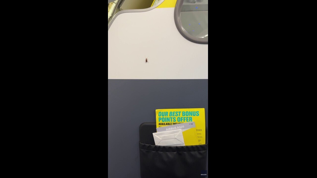 Passenger on plane sees 'roaches' crawling inside cabin on flight in Florida