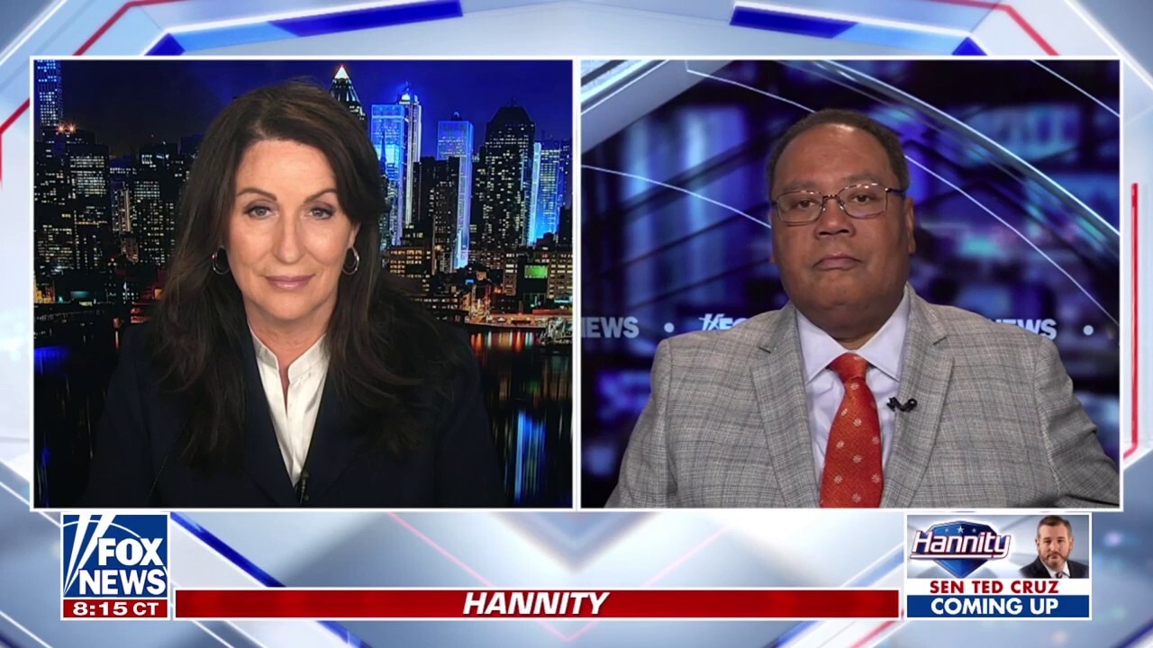 The media was 'completely incurious' when it came to Biden, says Miranda Devine