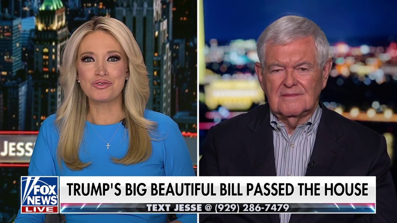 Newt Gingrich says he is ‘hopeful’ the Senate can get the ‘big, beautiful bill’ out by the 4th of July