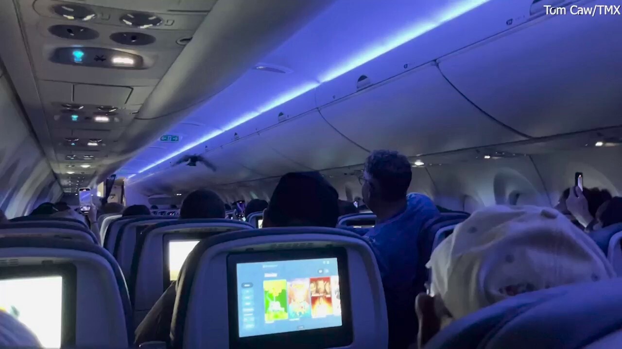 Delta fight delayed by pigeon flying around inside cabin