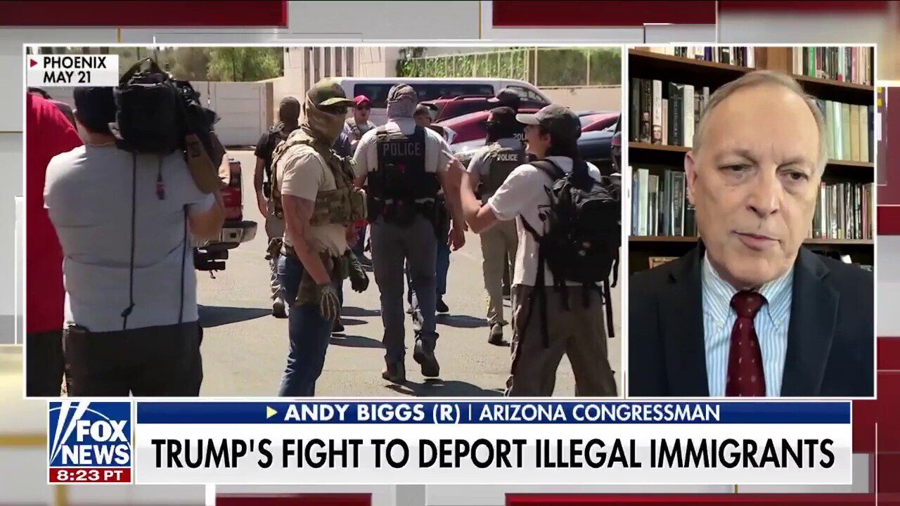 GOP lawmaker calls out ‘outrageous’ characterizations of Trump’s migrant deportations
