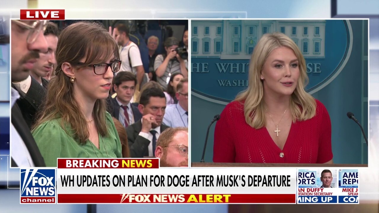 Karoline Leavitt ensures the entire Trump Cabinet will be involved in DOGE effort after Musk exit