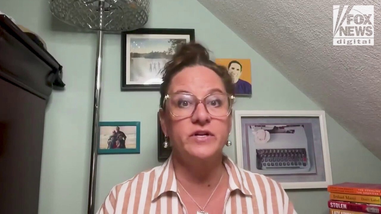 Hundreds of millions of taxpayer dollars spent by schools on 'wolf in sheep's clothing' DEI groups: report