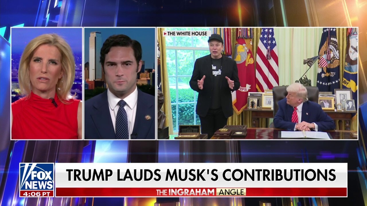 DOGE presents an ‘EXISTENTIAL’ threat to Democratic Party’s liberal movement, says GOP lawmaker