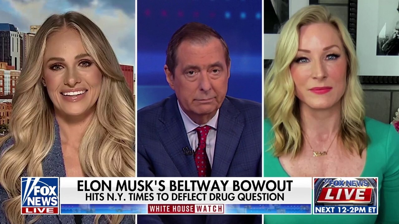 'Nothingburger': Tomi Lahren brushes off Musk drug use claims 