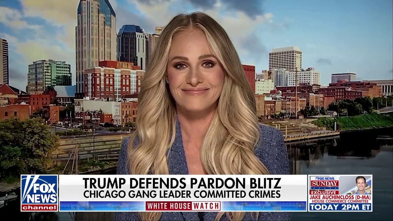 'Be consistent!' Tomi Lahren slams media bias for Trump's pardons