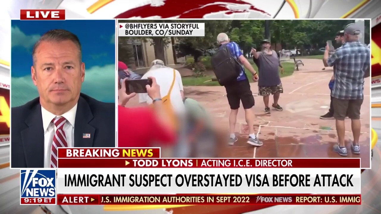 Acting ICE chief details mission to identify and remove 'bad actors'